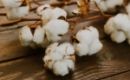 Các yếu tố đóng vai trò trong khả năng thấm hút nhanh của giấy