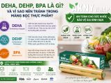 DEHA, DEHP, BPA là gì? Vì sao cần tránh trong màng bọc thực phẩm?